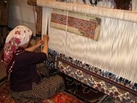 سقوط آزاد صادرات محصول ناب ایرانی 